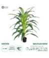 GloboStar® Artificial Garden BRAZILIAN IRON 20020 - Τεχνητό Διακοσμητικό Φυτό Αρωματική Δράκαινα Υ140cm